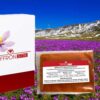 Saffron Extract Benefits